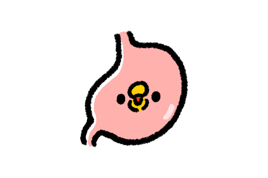 胃（ひよこ）のイラスト